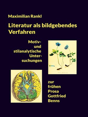 cover image of Literatur als bildgebendes Verfahren